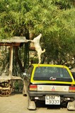 by Fahad Zafar