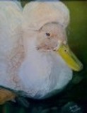 by Margi Tucker