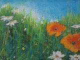 by barbara sheridan