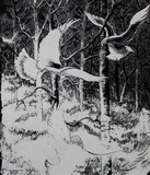 by Delores Herringshaw