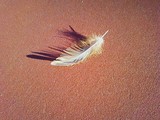 by J. Partlow
