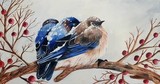 by Brooklyn Hill
