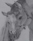 by Amanda Simmonds