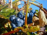 by Cene gál István
