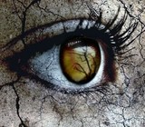 by Denise Catino
