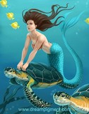 by Armando Elizondo