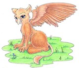 by Conny Schimek