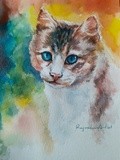 by Rajmohan Ramamoorthi