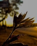 by Kgothatso  Maloka