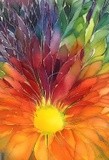 by John H. R. Pieper