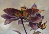 by John H. R. Pieper
