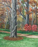by Kathleen Brake