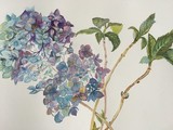 by Adria Gamble-Hanson