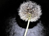 by Zimonias Art Photography