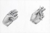 by Nienke van Zutphen