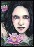 by Rebecca Sinz