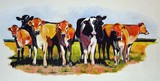 by connie van winssen