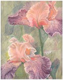 by Kelley Badgerow