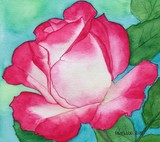 by Nancy Woolweber