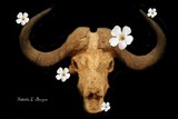 by Tabitha Borges