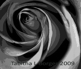 by Tabitha Borges