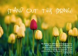 by June Steward