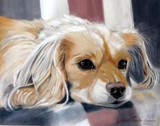 by Katherine Taylor-Green