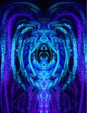 by dakota K