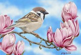 by Debbie Gray