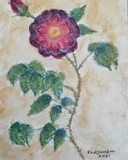 by José Ramalhão Fortunato