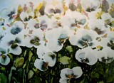 by Nelly van Nieuwenhuijzen