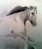 by Emily Gomez