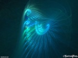 by Thunder 7
