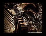 by Shawn McDonald