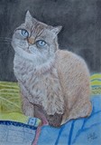 by Cybele Chaves