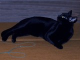 by Brenda Edwards