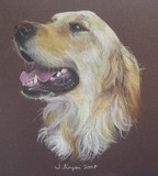 by Joanne Simpson-Connor