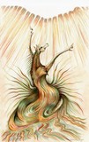 by Cathy Howell