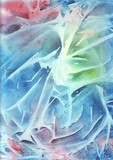 by amira el-fohail