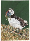 by Liz Robinson