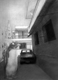 by Eran Raitzes