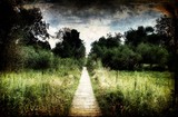 by Jim Crotty