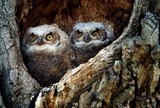 by Greg Summers