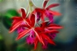 by Artless Graphics