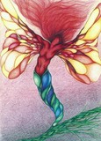 by Kendra D'Angora
