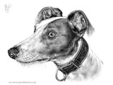 by anna shipstone