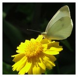 by Brighter Image Photography