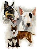 by Barbara Keith