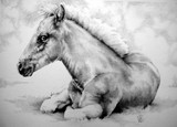 by bobby kro