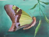 by lynette rate